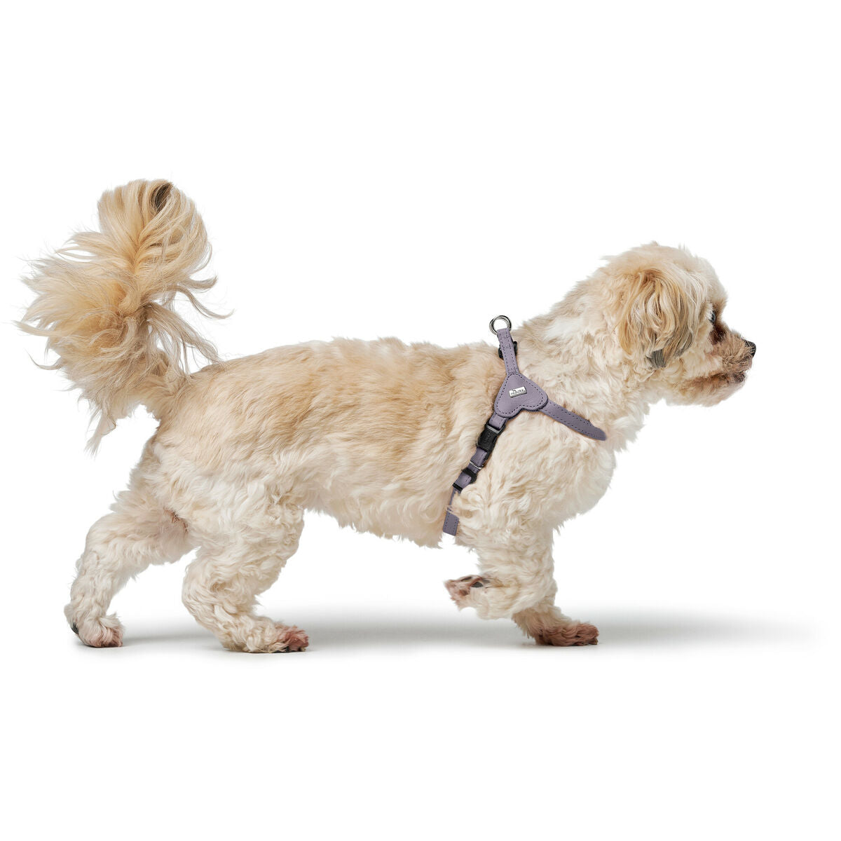 Dog Harness Hunter SOHO MINI Lilac XS