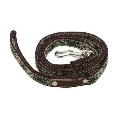Finnigan's Whimsical Designer Dog Collar Set with Lead