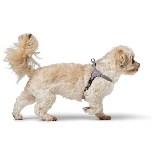 Dog Harness Hunter SOHO MINI Lilac XS